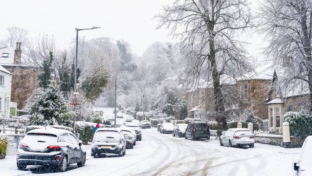 <p>I come across a note I took in early January, just after I had been walking late at night on a thin layer of snow that crunched beneath my feet. </p>