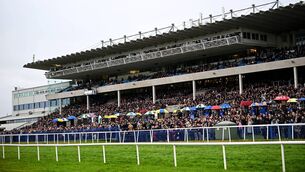 <p>Sold out signs will appear over the Leopardstown gates on Saturday for the first day of the Dublin Racing Festival. Pic: Seb Daly/Sportsfile</p>