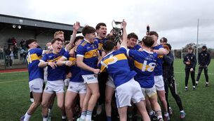 <p>Tralee CBS celebrate their win in the Corn Thomais Mhic Choilm Under 19 B Hurling Final. Picture: Jim Coughlan.</p>