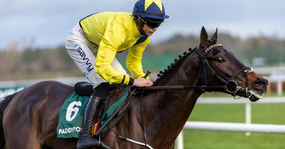 Colm Greaves: Instant gratification at Dublin Racing Festival or play Cheltenham long game?