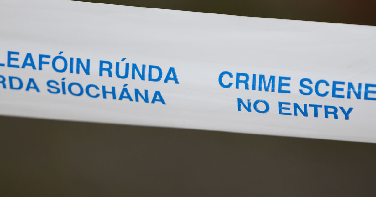 Man, 50s, dead after overnight assault in Dublin