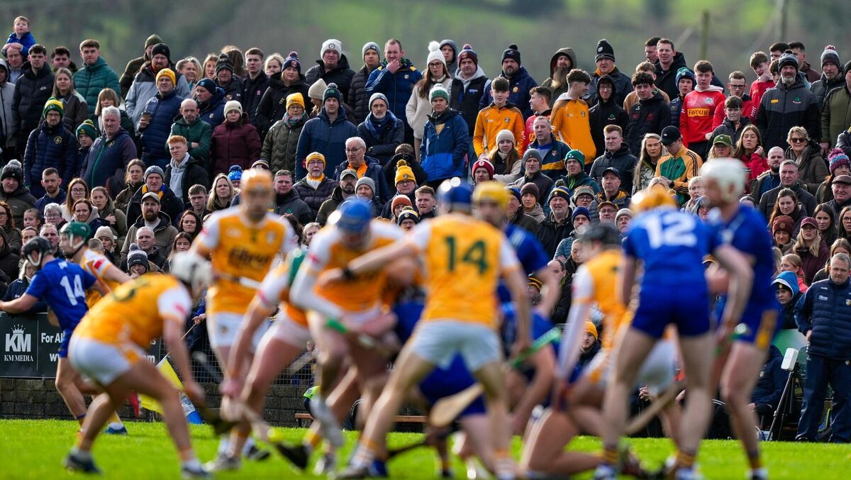 Crowds watch on at the Antrim and Clare action.  Pic: INPHO/James Lawlor