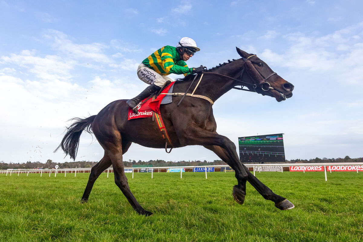Mark Walsh on Kaid D’Authie wins The Ladbrokes Novice Steeplechase (Grade 1). Pic: Morgan Treacy/Inpho