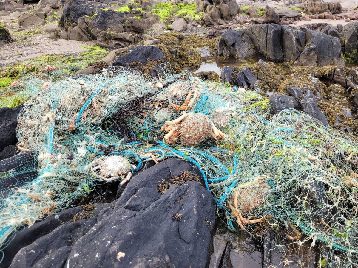 Washed-up tangle netting on the Kerry coast. Picture: Pádraic Fogarty