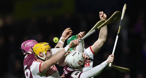 Cillian Trayers and Joshua Ryan with Séamus Harnedy and Declan Dalton 31/1/2026