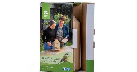 Tots to Teens: How to build a bird nest box with your children