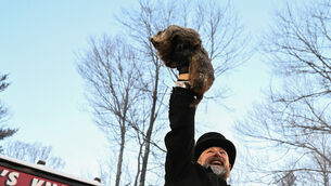 Groundhog Club handler AJ Dereume shows Punxsutawney Phil to the crowd at Gobbler’s Knob (Barry Reeger/AP)