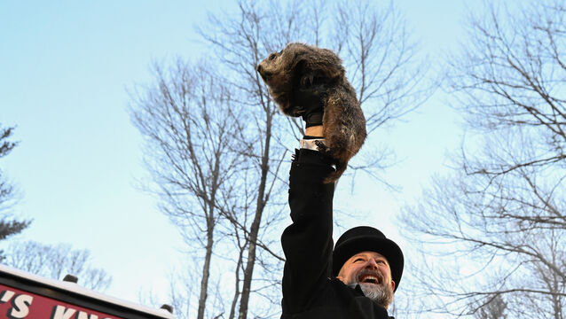 Groundhog Club handler AJ Dereume shows Punxsutawney Phil to the crowd at Gobbler’s Knob (Barry Reeger/AP)
