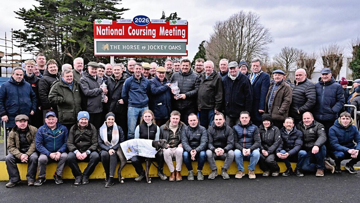 The winner of the Horse and Jockey Hotel Oaks ran at the National Coursing Meeting in Clonmel was Daoimean Dubh owned by Agnieszka Czarnowska.  Sponsor Tom Egan presents the cup to co owner  Gavin Johns. DJ Histon, CEO ICC presents the breeders prize to Ollie Ollie Dinne. Also present trainer Paudie Lyons, Ava Lyons. Breeder Ray Conroy, President ICC Pat Loughlin and supporters. Picture: Yvonne Harrington