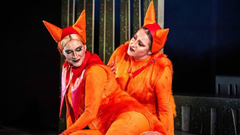 Opera review: Cunning Little Vixen provides a lot of enjoyment in Tralee 