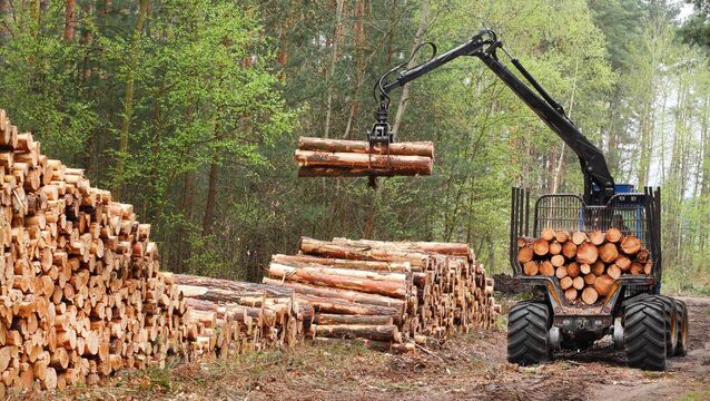 <p>Any outbreak of bark beetle disease in Ireland would pose a serious risk to the €2bn forestry and timber industry, which supports some 9,400 direct and indirect jobs.</p>