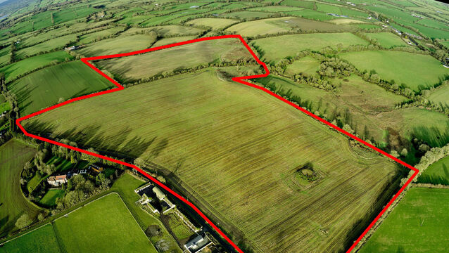 <p>Overview of the 74-acre farm for auction at Butlerstown, Co. Meath.</p>