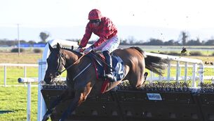 <p>Needs Must won at the fourth time of asking at Fairyhouse in January. Pic: Healy Racing Photo.</p>
