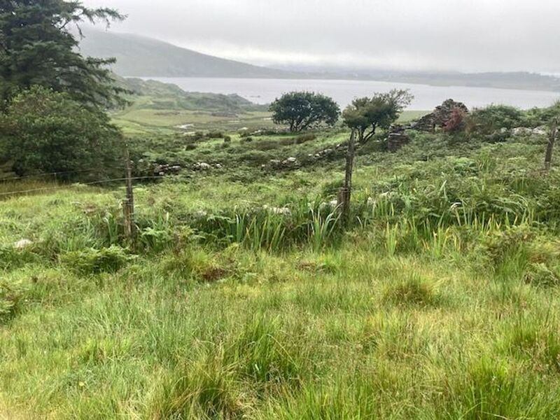 Some views from the 84-acre hill farm at Coomavohir, Waterville, Co Kerry.
