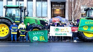 <p>IFA members protest outside Bord Bia Offices in Dublin. Picture: Finbarr O'Rourke</p>