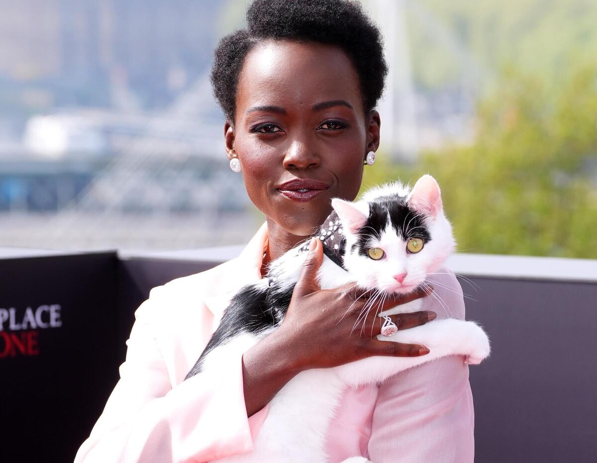 Lupita Nyong'o with Schnitzel promoting 'A Quiet Place: Day One'. Nyong'o starred in the movie as Samira with Schnitzel as her cat, Frodo. Picture: Paige Young