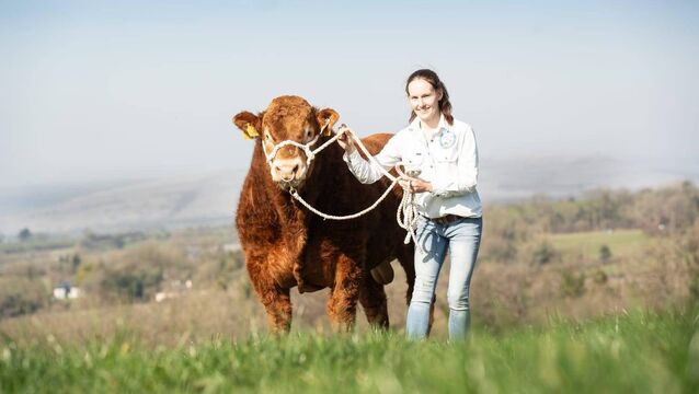 <p>Carina Roseingrave showing one of her pedigree cattle from her farm in Crusheen, Co Clare.</p>