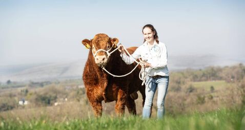 Burren farm blending tradition and a modern vision has plans to develop