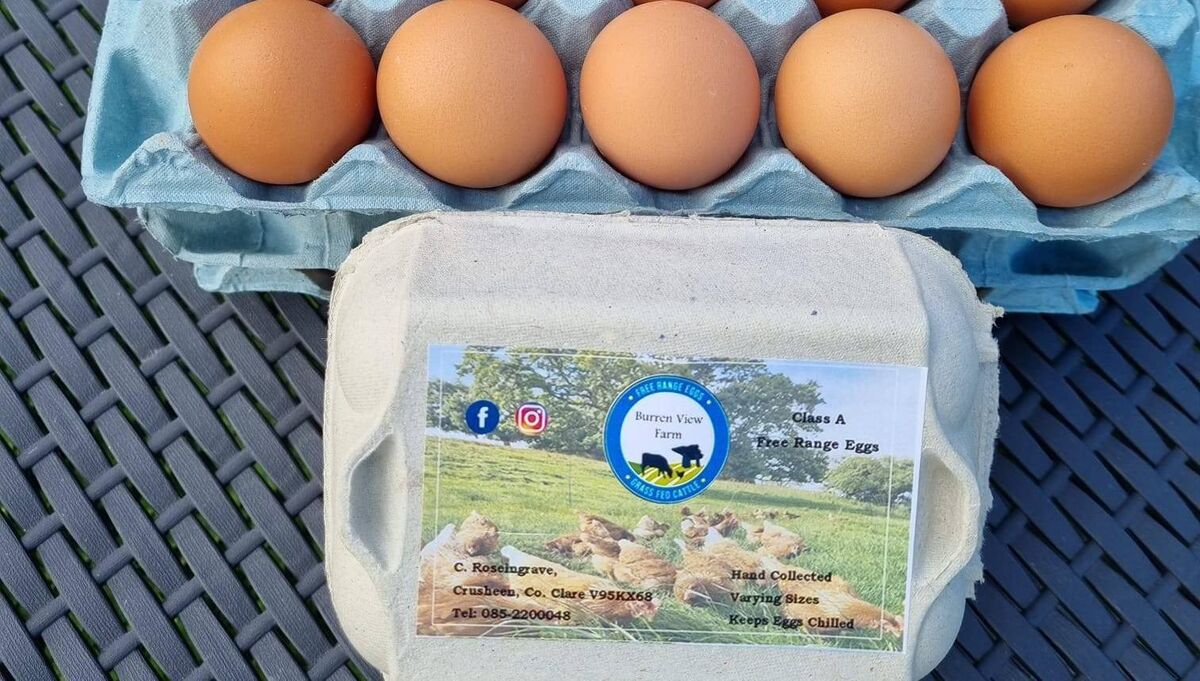 Burren View Farm eggs has 'turned into a bit of a business now' says Ms Roseingrave.
