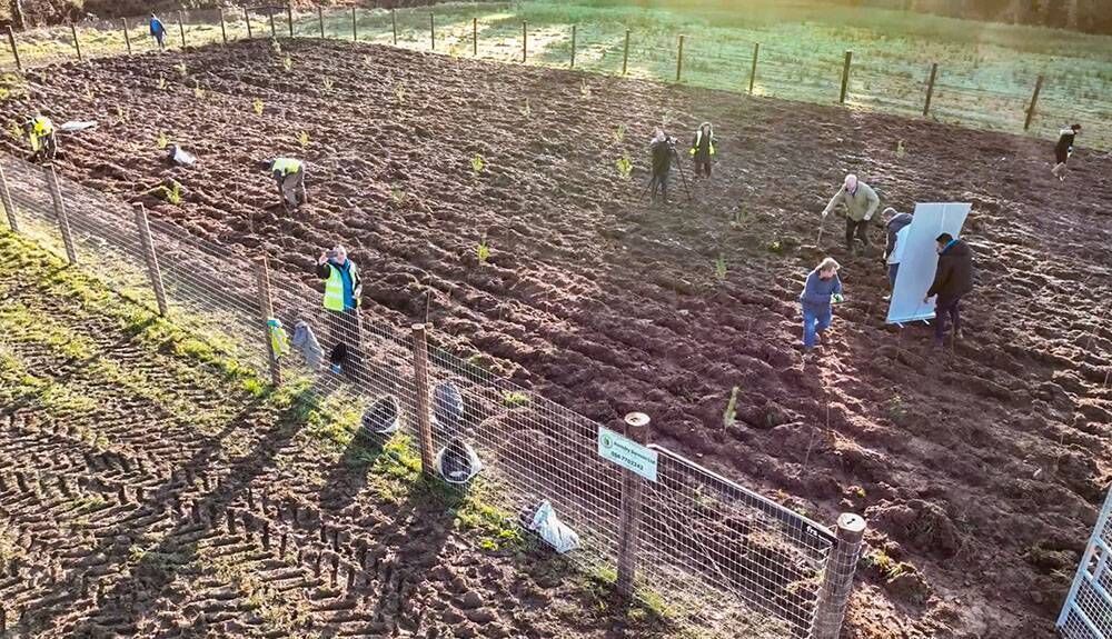 A team of volunteers from the 100 Million Trees Project, including co-founders David Mulcahy and Richard Mulcahy, plant the quarter of an acre site at Glenstal Abbey in County Limerick, Ireland. Picture: 100 Million Trees Project