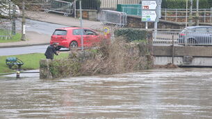 <p>The Climate Statement for January from the national forecaster showed that while Moore Park recorded some 143.7mm of rainfall for last month, the majority of the monthly rainfall was above average across the country. Picture: Stephen Collins/Collins Photos</p>