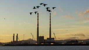 <p>Brent geese flying in Dublin Bay. Picture: Tom Honan</p>