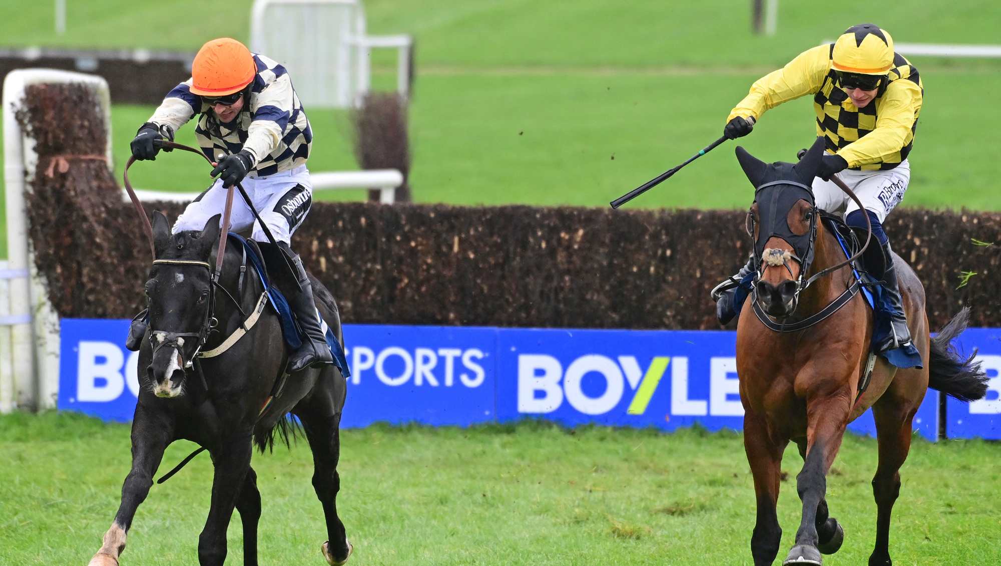 Thurles Racing Salvator Mundi should deliver over fences at Thurles