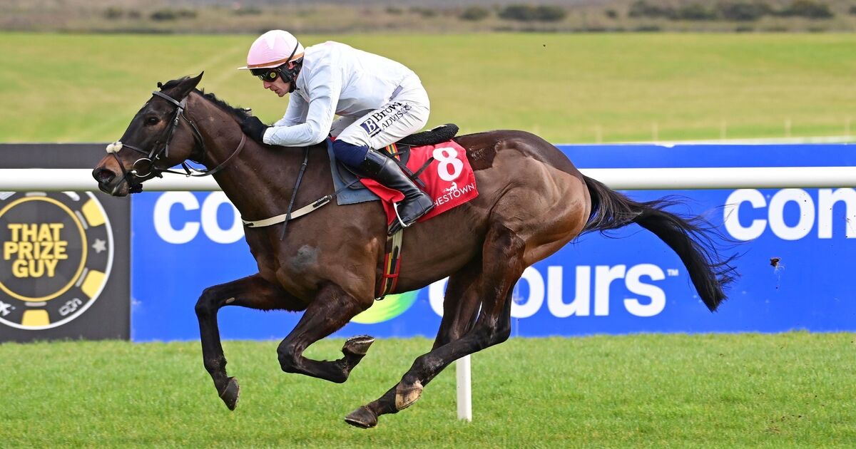 Too Bossy For Us opens hurdling account with Punchestown victory