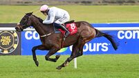 Too Bossy For Us opens hurdling account with Punchestown victory