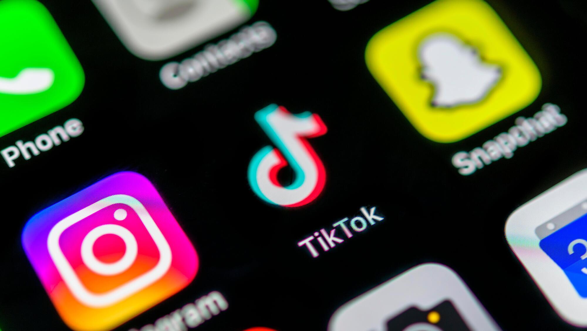 Children as young as 10 'loopholing' usage rules by being on TikTok, committee hears
