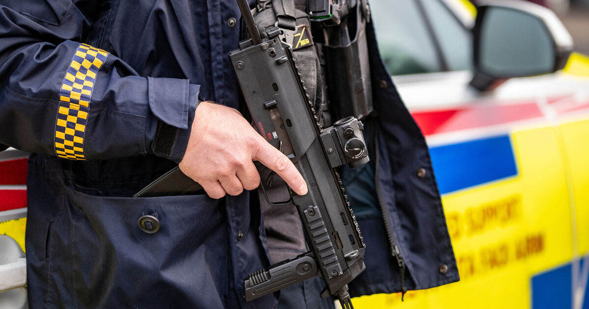 Kinahan cartel ‘no longer exists’ in Ireland, says gardaí, as Hutch gang remains active