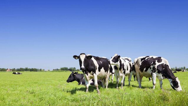 <p>On-farm, care should be taken not to cut back on essential inputs in ways that undermine underlying profitability.</p>