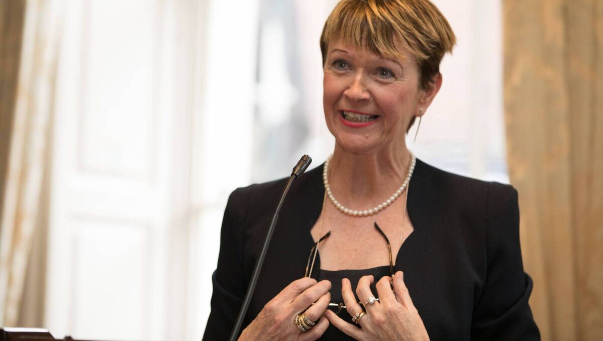 Suzanne Cahill: 'The Irish market is said to be particularly attractive to them since fair deal funding guarantees their income stability supplemented through private equity investment.' Picture: Paul Sharp/Sharppix Suzanne Cahill: 'The Irish market is said to be particularly attractive to them since fair deal funding guarantees their income stability supplemented through private equity investment.' Picture: Paul Sharp/Sharppix