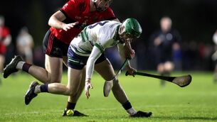 <p>University of Limerick's Adam Screeney in action. Pic: ©INPHO/Laszlo Geczo</p>