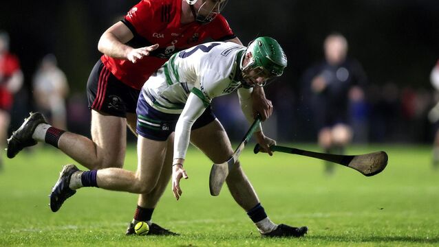 <p>University of Limerick's Adam Screeney in action. Pic: ©INPHO/Laszlo Geczo</p>