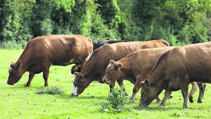 <p>'As farmers, we are continuously frustrated at not being listened to by the EU, yet here we are on our own doorstep, not willing to listen before judging.'</p>