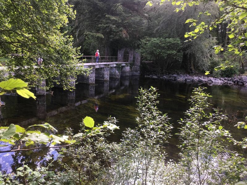 Cong Wood Walk. Picture: John G O'Dwyer Cong Wood Walk. Picture: John G O'Dwyer