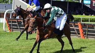 <p>Redwood Queen and Philip Byrnes part company at the last in the Wexford Claiming Hurdle (Photo HEALY RACING)</p>