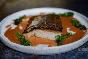 Hake with a creamy espelette sauce