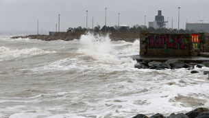 <p>The National Emergency Coordination Group are urging those living in affected areas to work from home on Friday if possible. File image</p>
