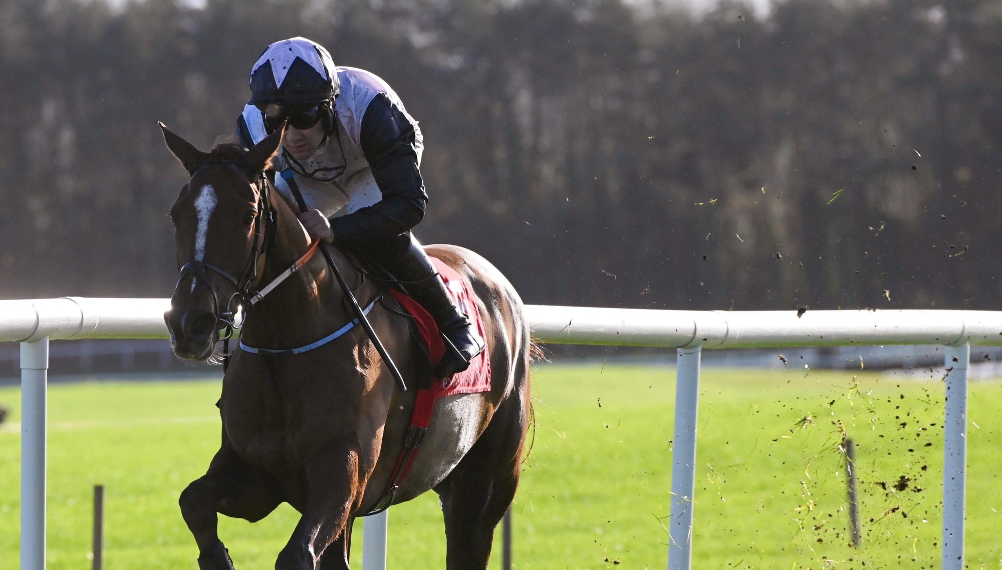 Weekend racing preview: Highland Crystal can sparkle at Naas