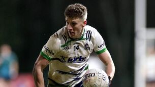 <p>CIAN MACHINE: University of Limerick's Cian McHale in action. Pic: ©INPHO/Laszlo Geczo.</p>