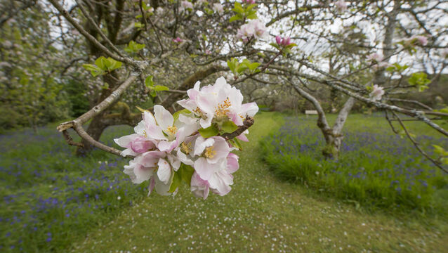 <p>Skibbereen Flower and Garden Club is holding a talk this coming week on grafting apple trees and early spring work in the garden.</p>