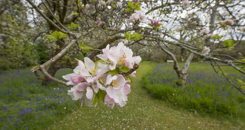 Garden Digest: Events to help you to enjoy your room outside