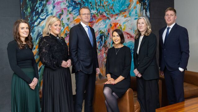 <p>Philip Lee roles: Tamara Mitchell, Kate McNamara, Jonathan Kelly, managing partner, Elaine Whelan, Keelin Gavagan, Michael Cahill. </p>