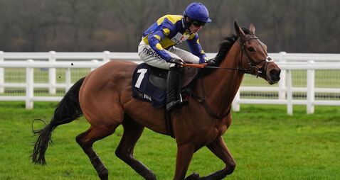 Newbury Races - Saturday February 7th