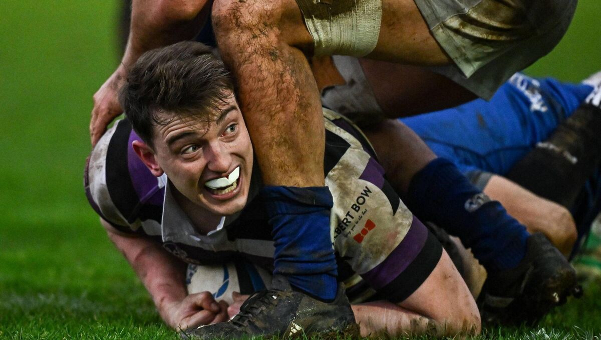 OVER: Craig Adams of Terenure College scores his side's first try.  Pic: Seb Daly/Sportsfile 