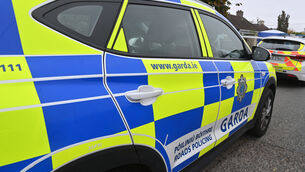 <p>Armed gardaí arrest man following criminal damage incident at Forth Mountain. Picture: Dan Linehan</p>