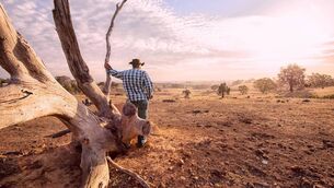 <p>Rain-starved Australia has been grappling with droughts in recent years. File picture: Getty</p>