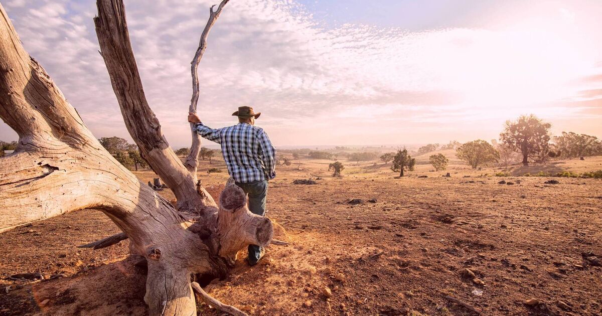 Chance of El Niño forming in Pacific Ocean may push global temperatures to record highs